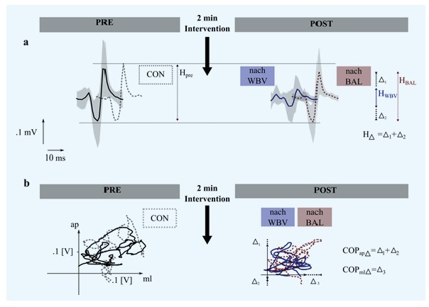 Chart Neuromuskuläre Modulation