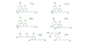Strukturformeln Wirkstoffe Cannabis