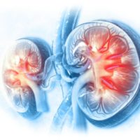Nieren: Krafttraining während Dialyse vermindert inflammatorische Prozesse