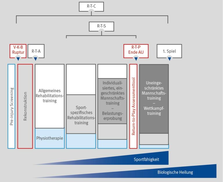 Das Hellison-Modell: Werteerziehung Durch Sport – QEHYB