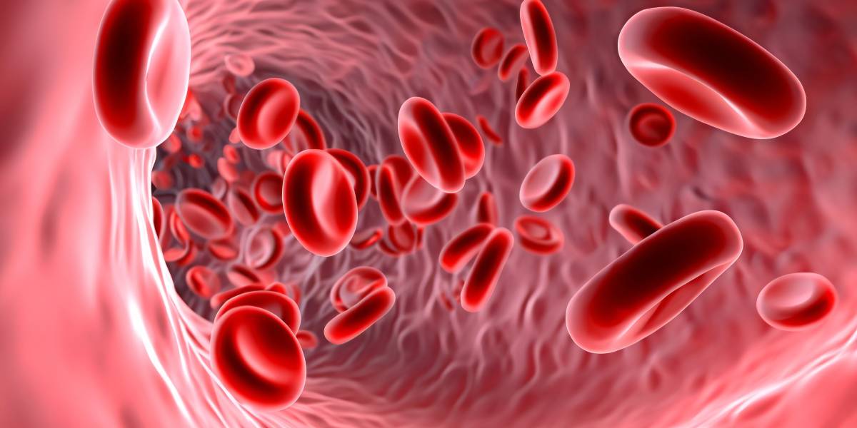 Zusammenhang zwischen Blutgruppe und physiologischer Höhenanpassung entdeckt